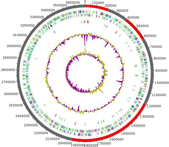 Fig. 3