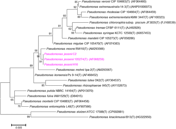 Fig. 2