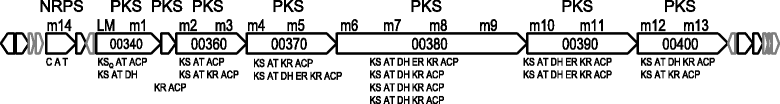 Fig. 3