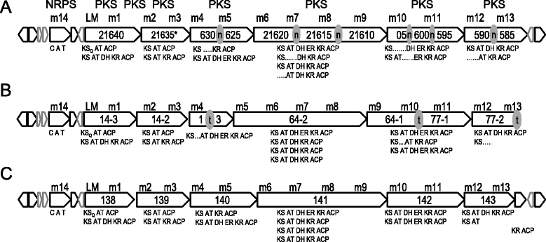 Fig. 5