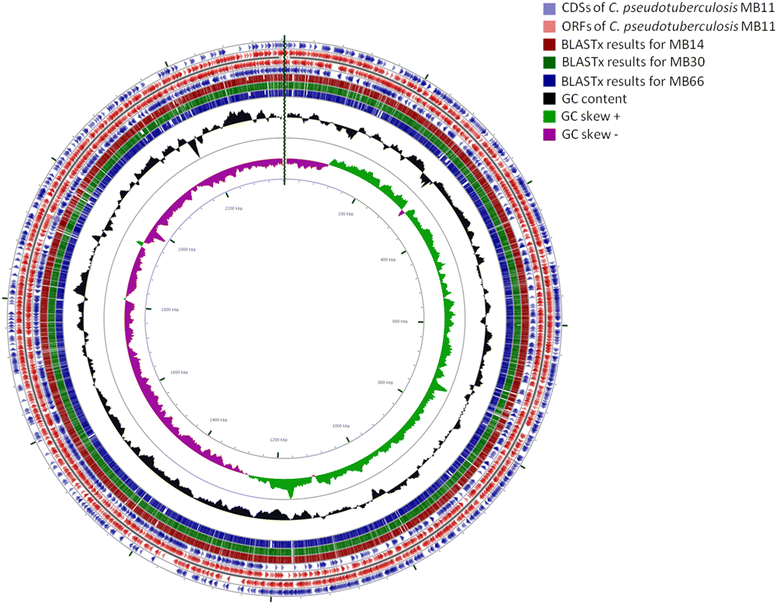 Fig. 4