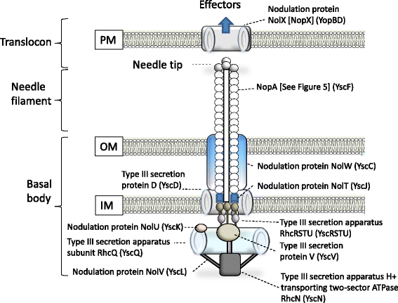 Fig. 6