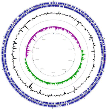 Fig. 3