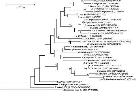 Fig. 2