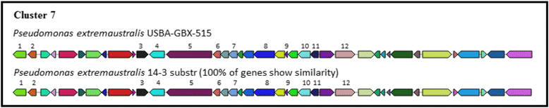 Fig. 10