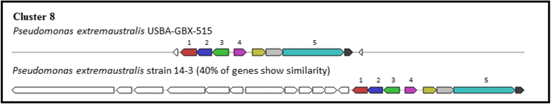 Fig. 11