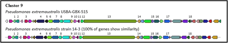 Fig. 12