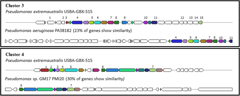 Fig. 7