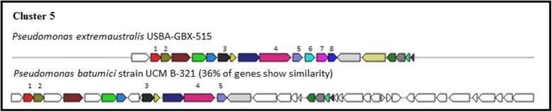 Fig. 8