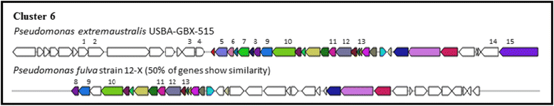 Fig. 9