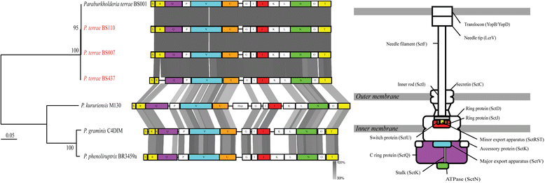 Fig. 6