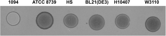 Fig. 6