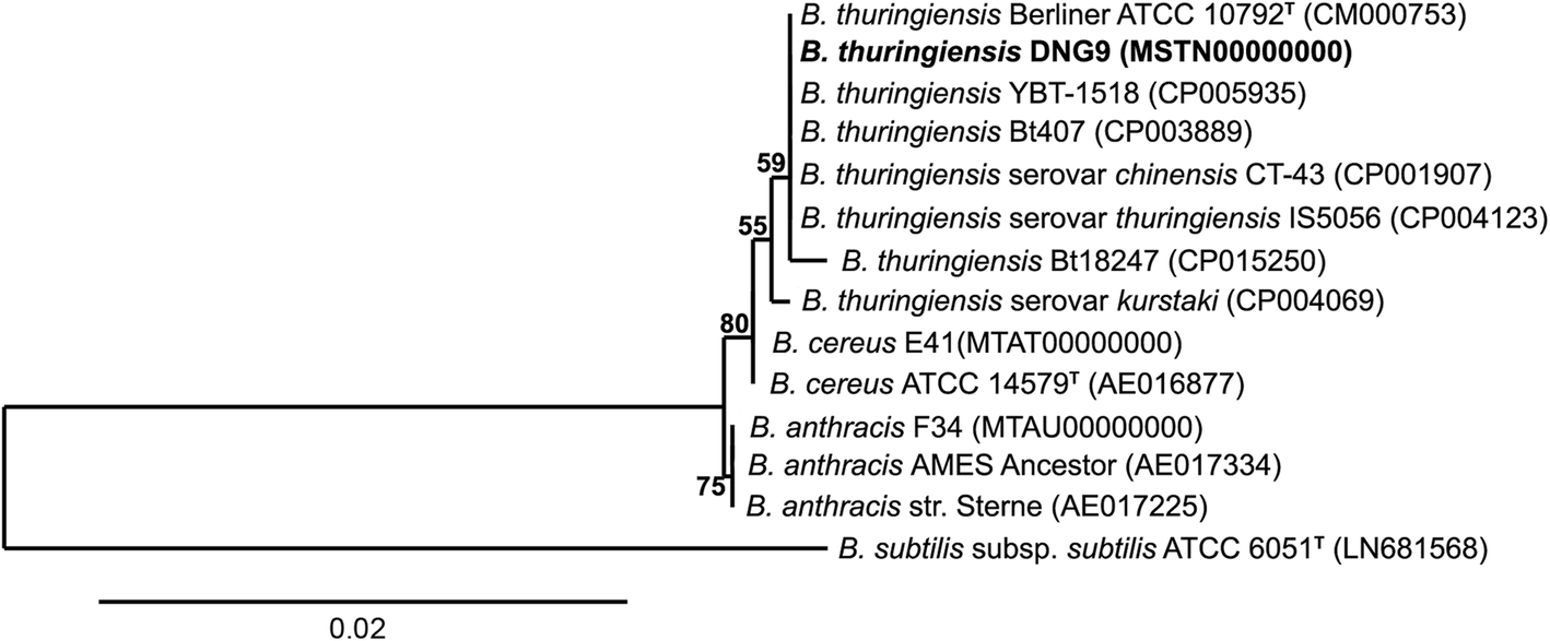 Fig. 2