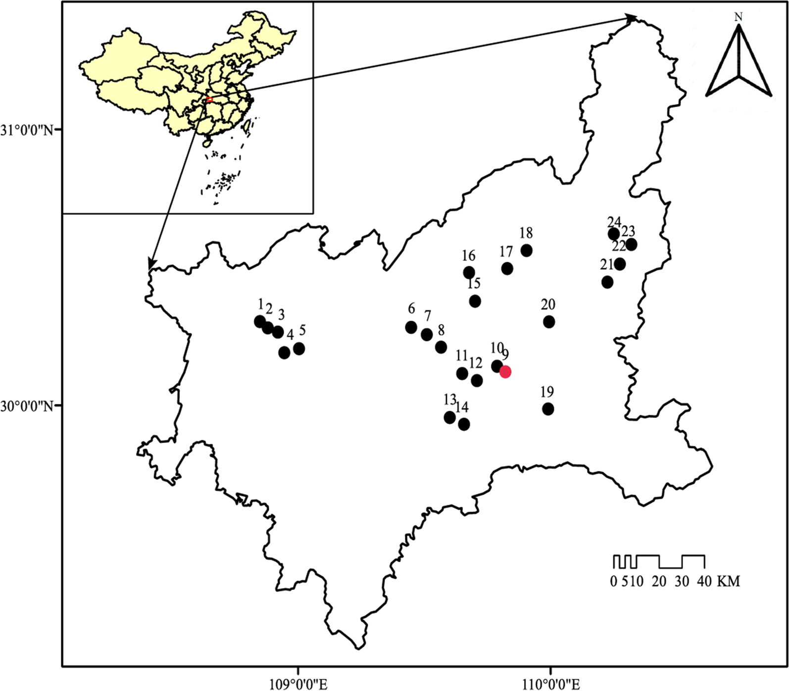 Fig. 1