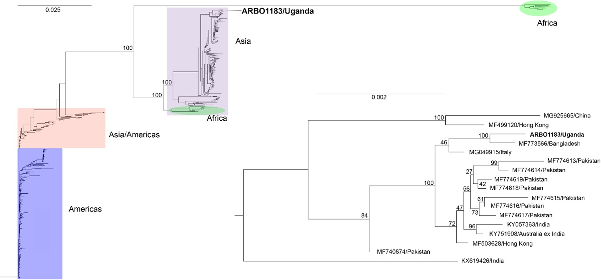 Fig. 1