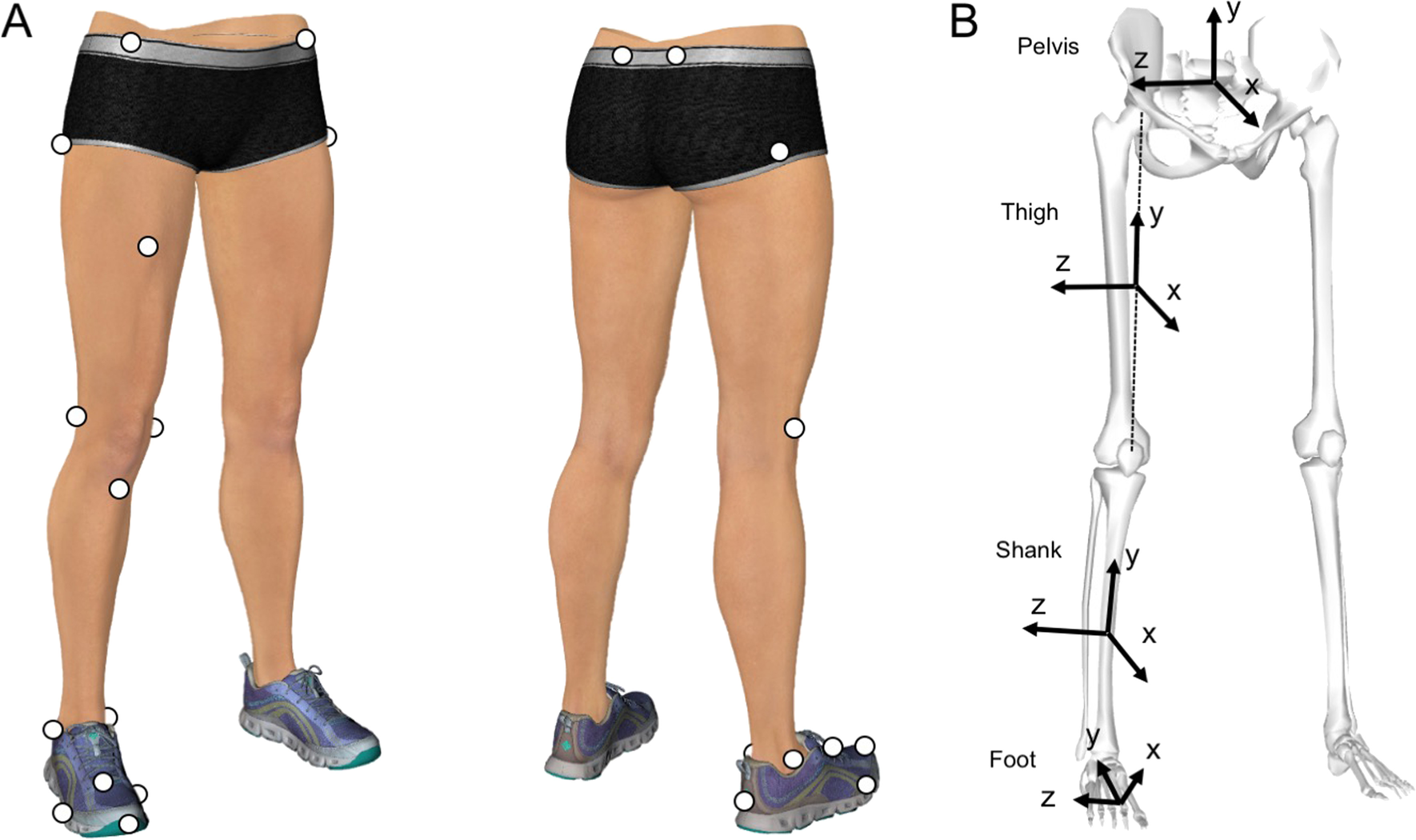 Fig. 1