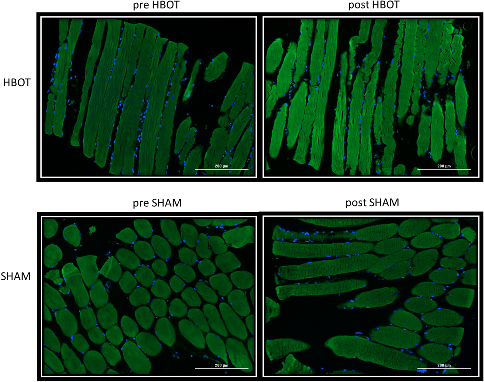 Fig.3