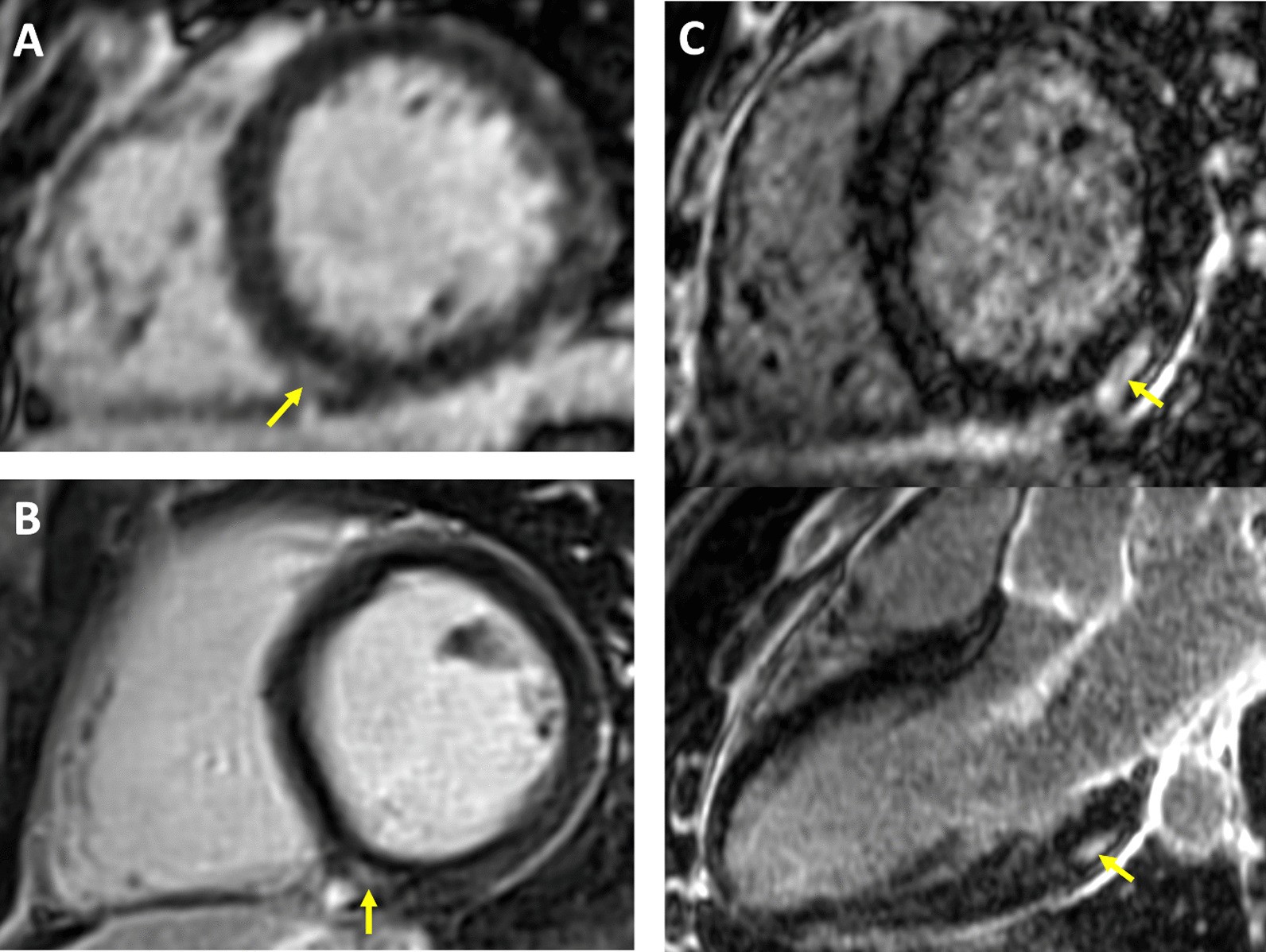 Fig. 4