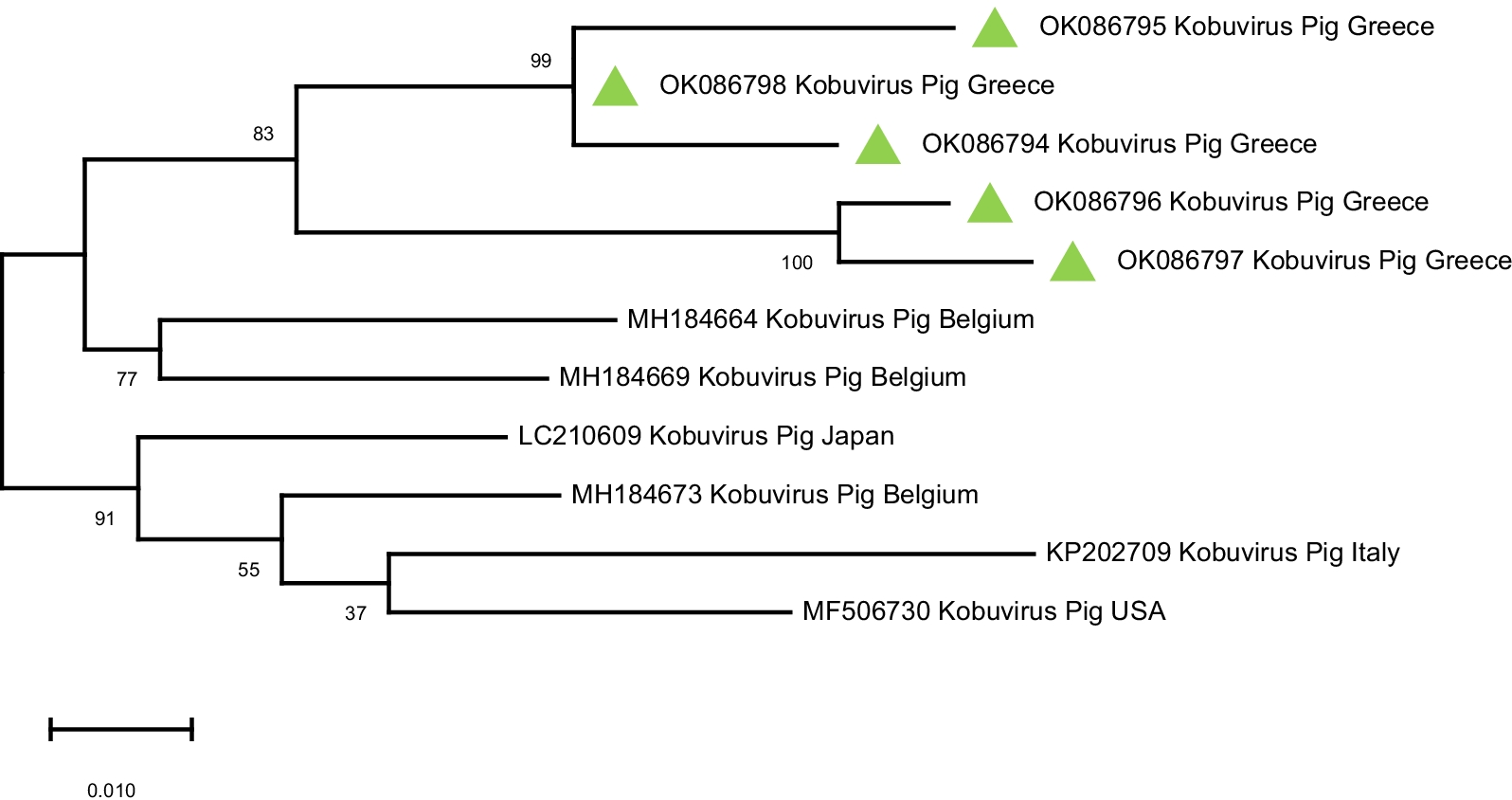 Fig. 6