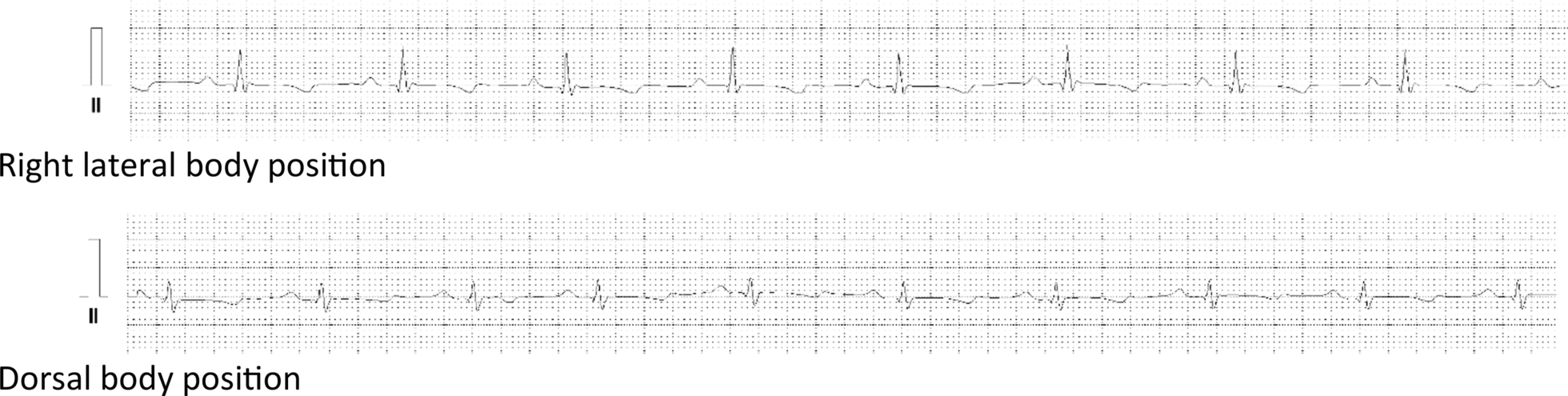 Fig. 16