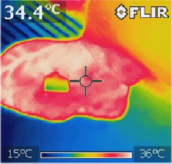 Fig. 4