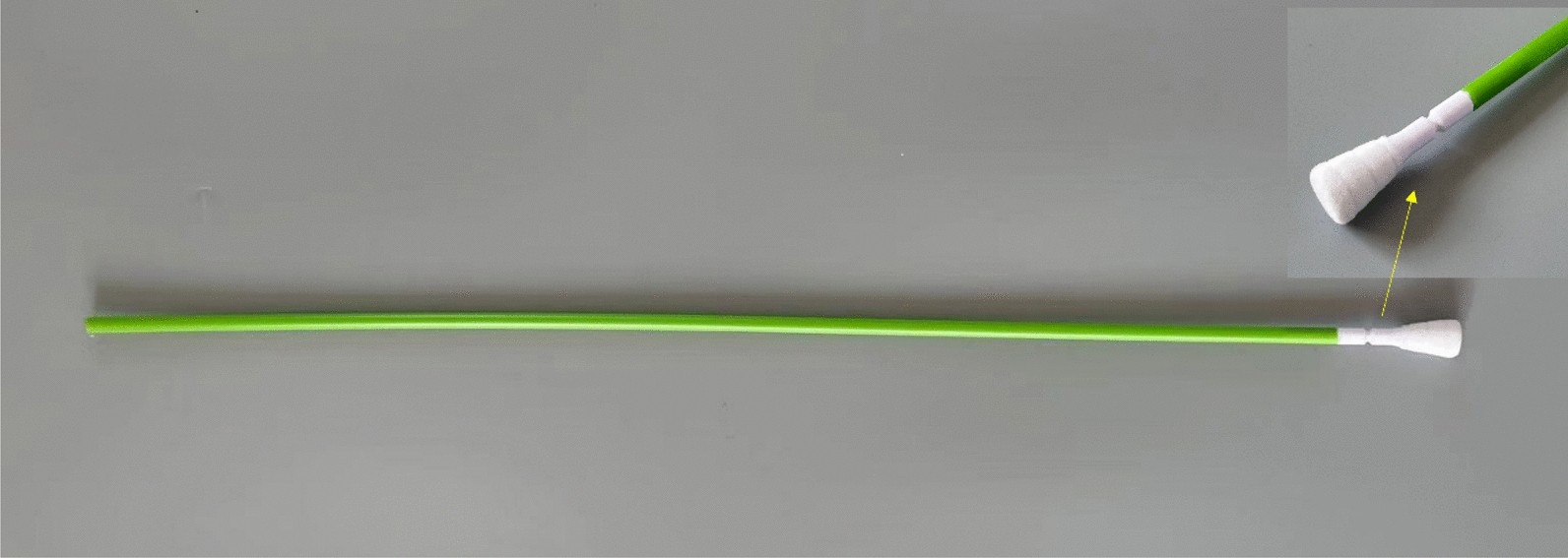 Fig. 1
