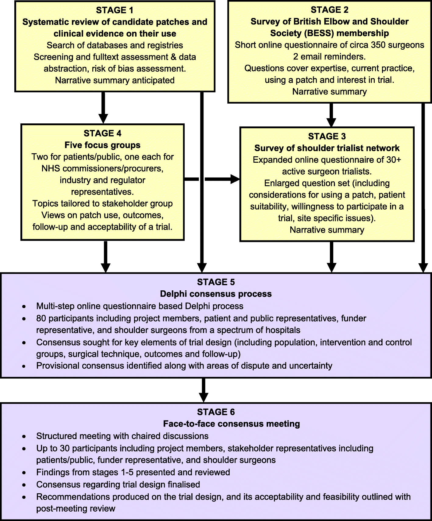 Feasibility Study Process Flow Chart