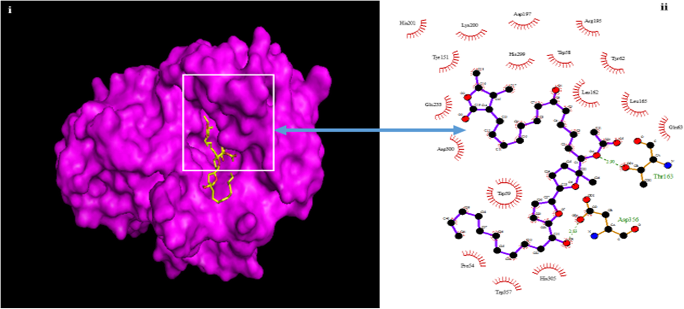 Fig. 16