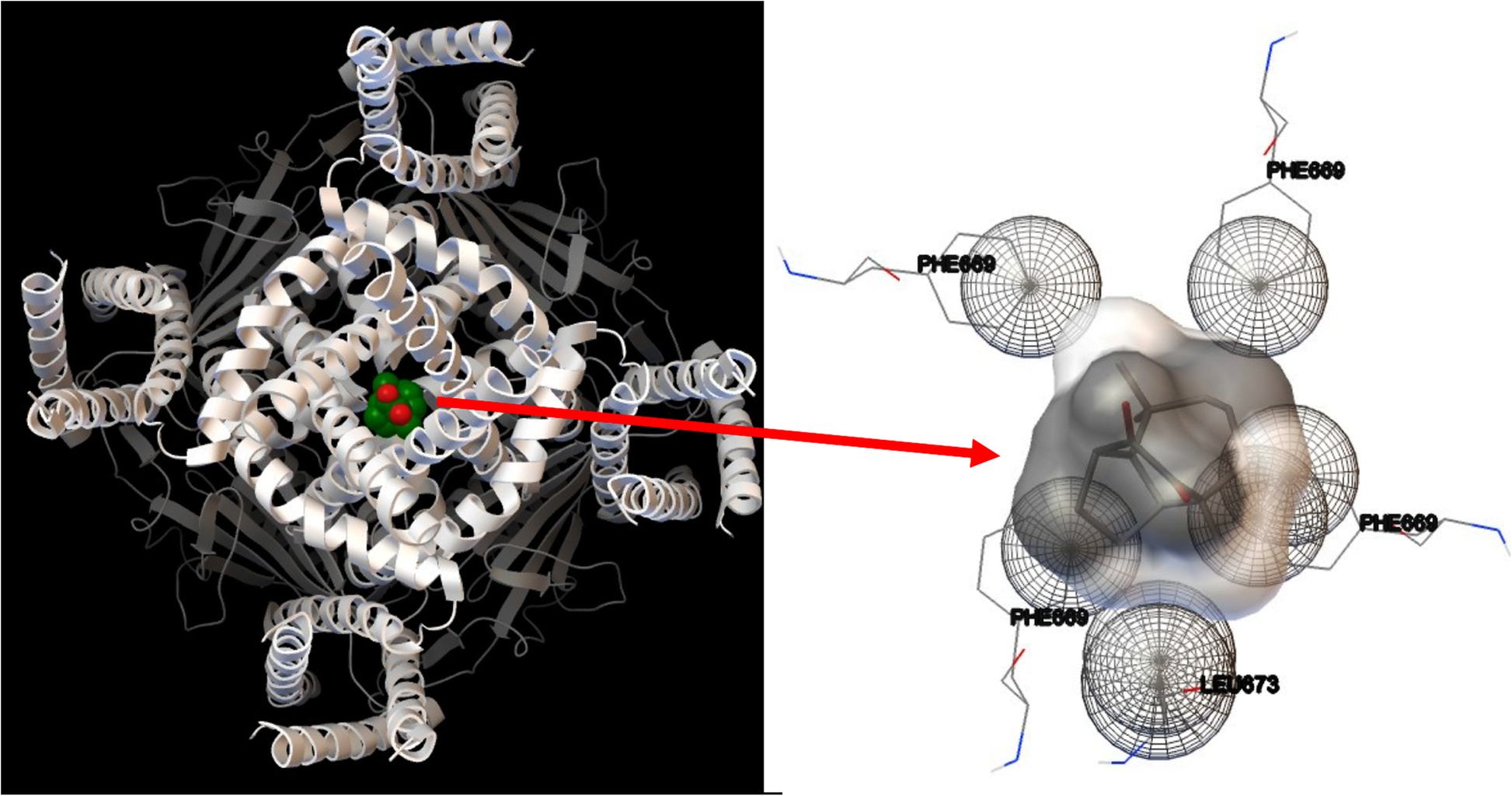 Fig. 4