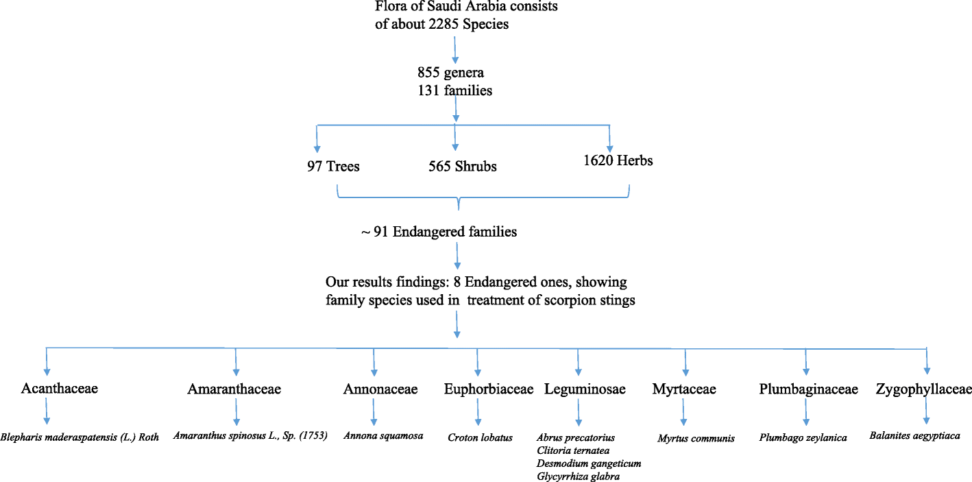 Fig. 12