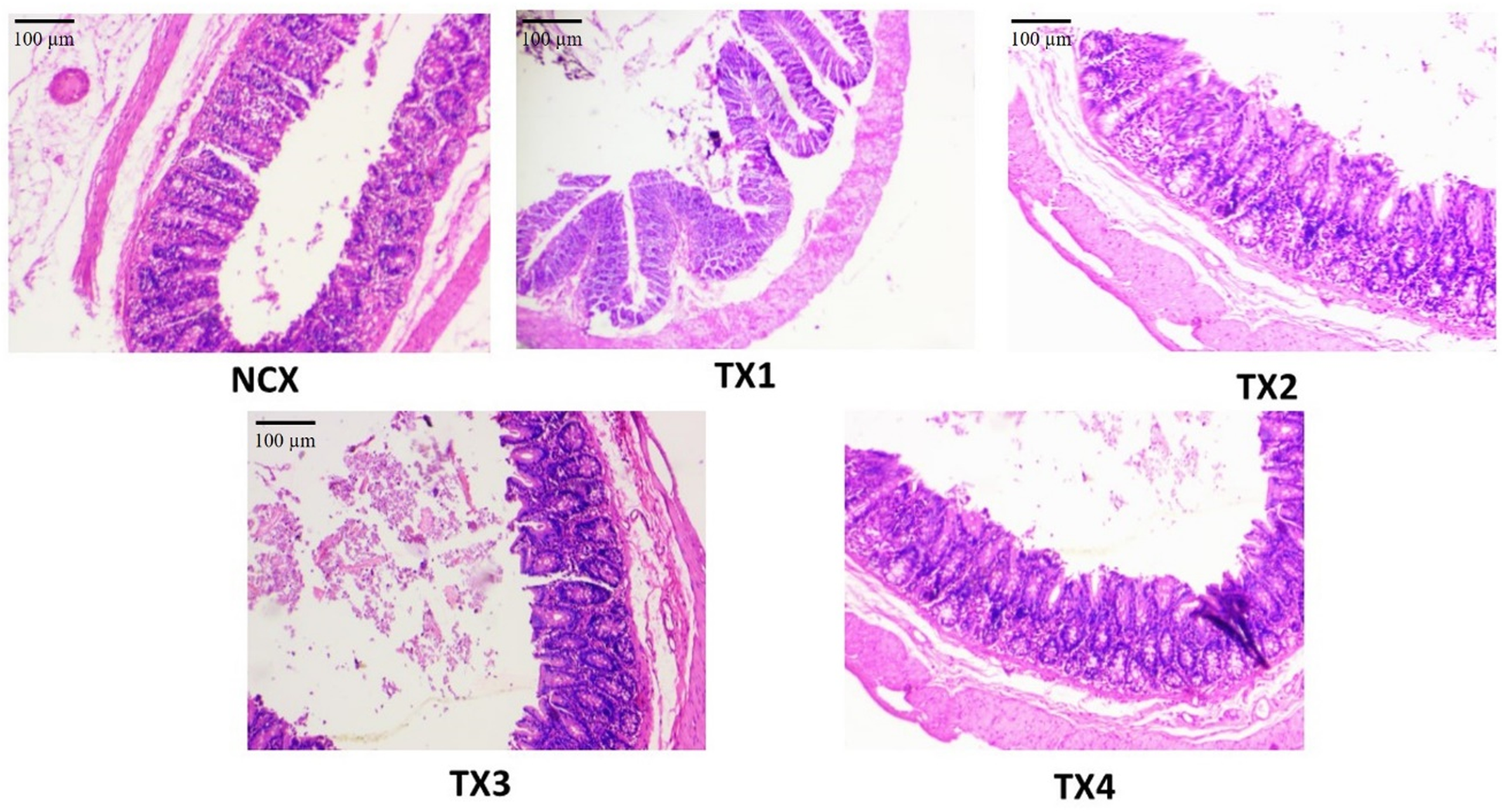 Fig. 7