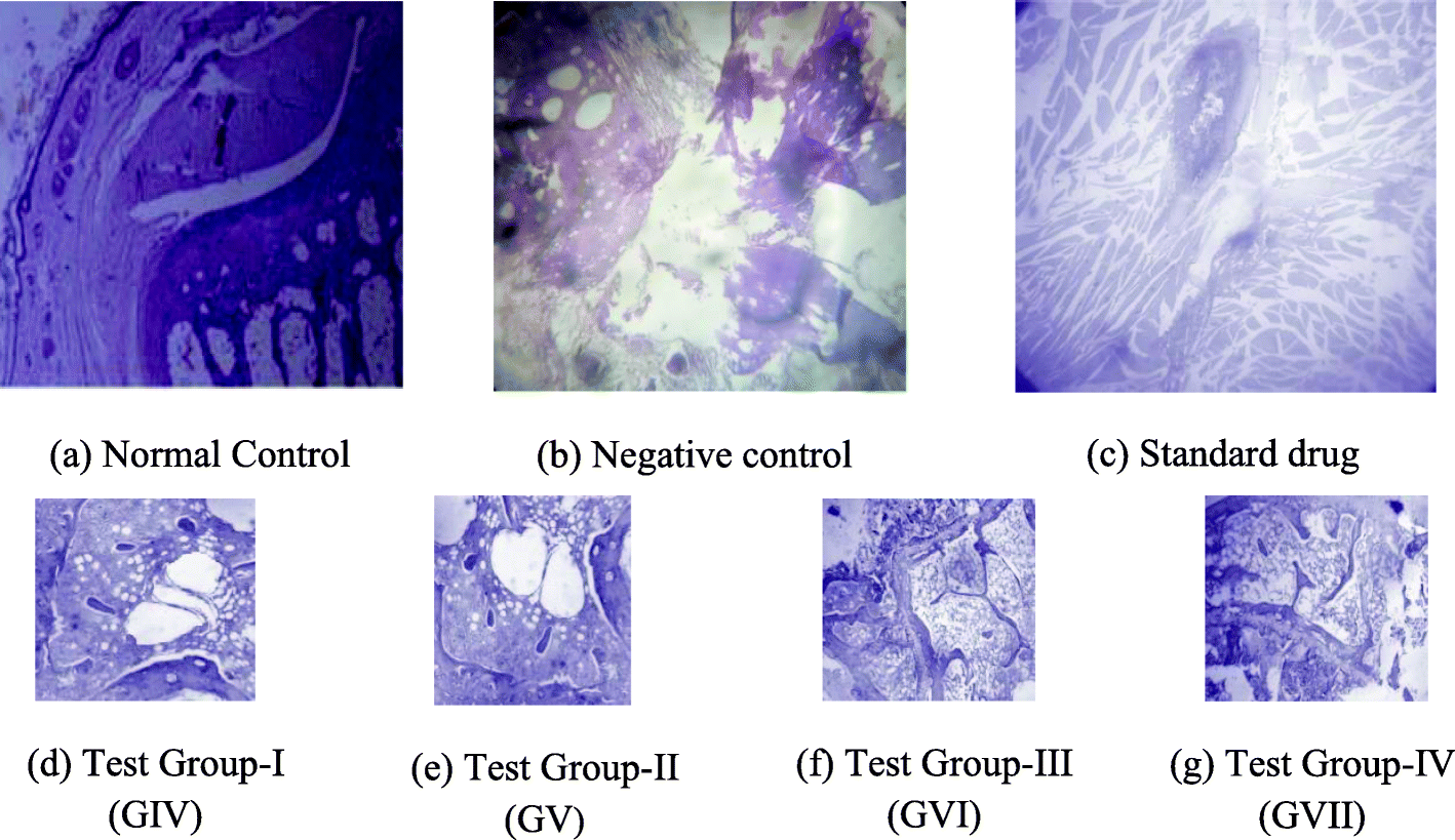 Fig. 12