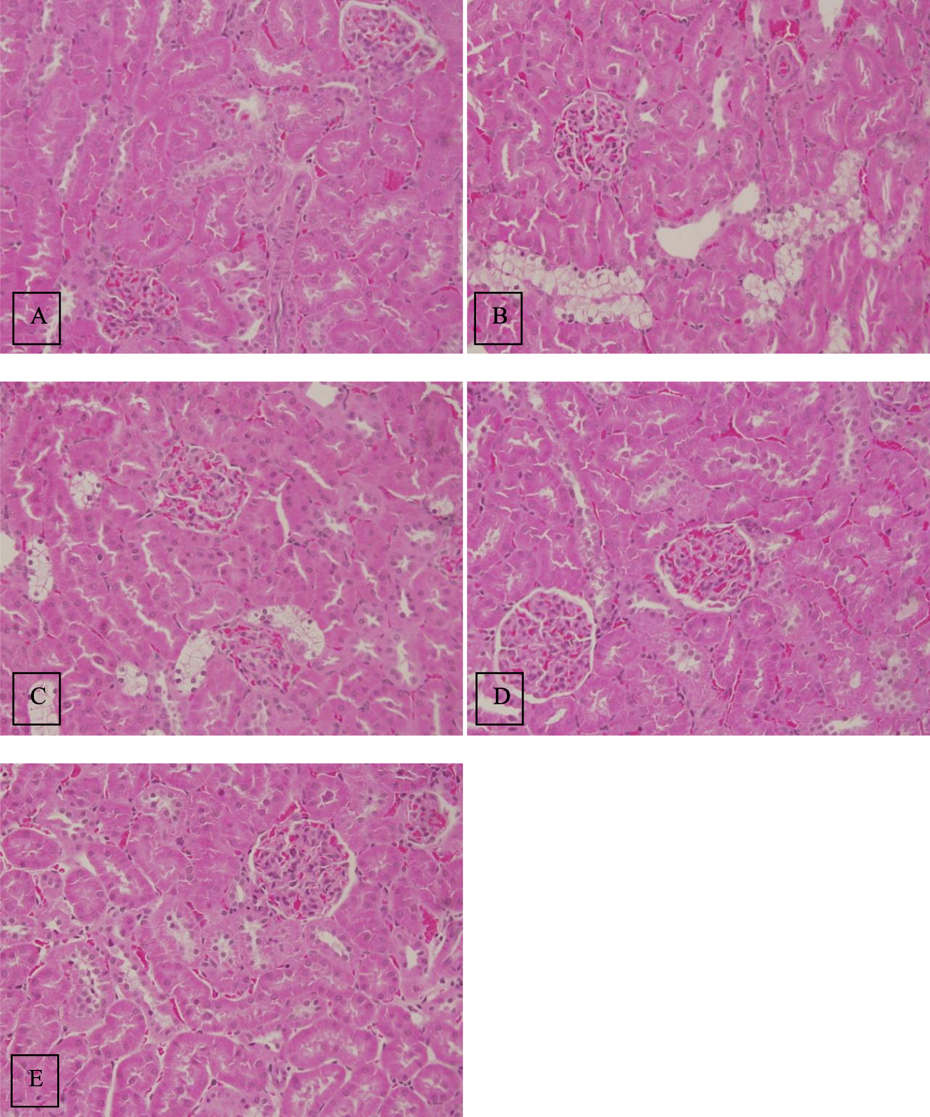 Fig. 8