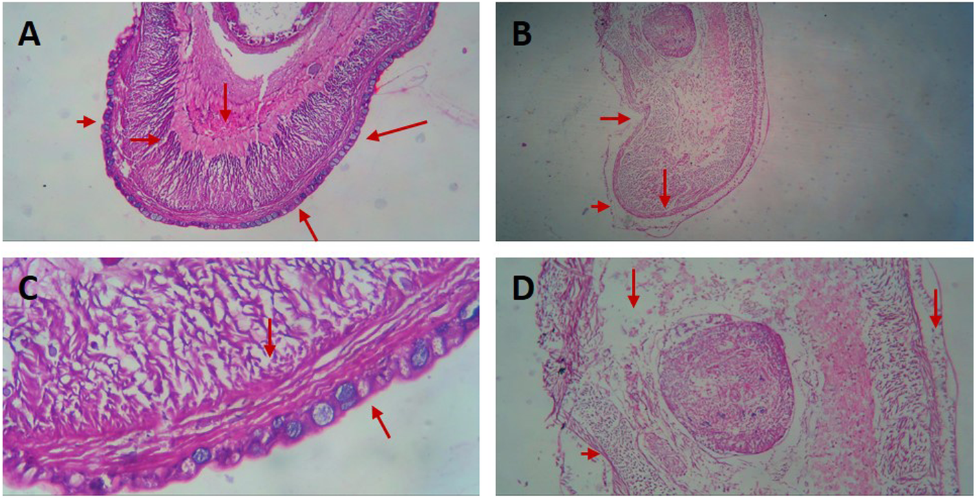 Fig. 9