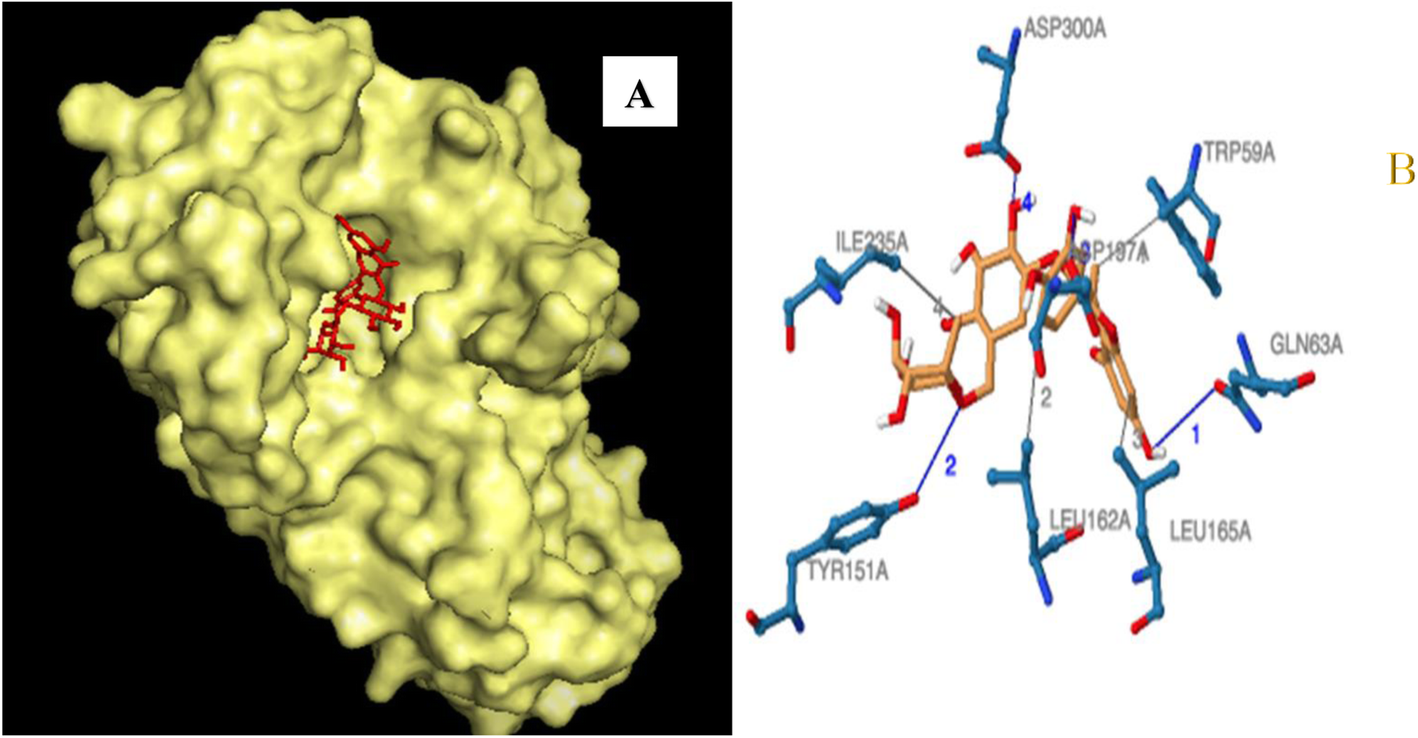 Fig. 13