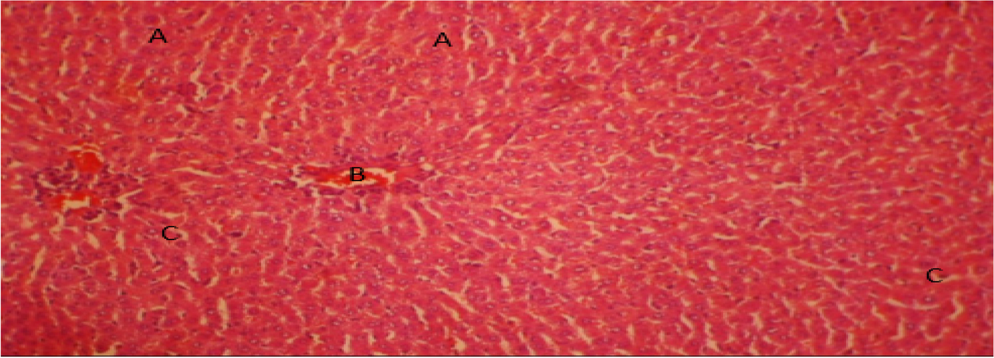 Fig. 11