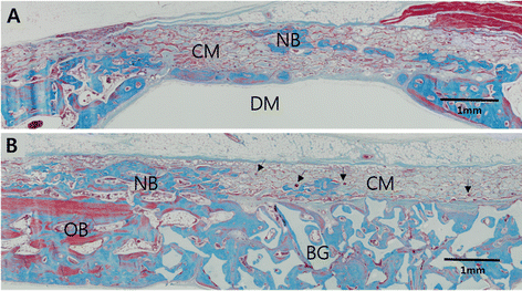 Fig. 5