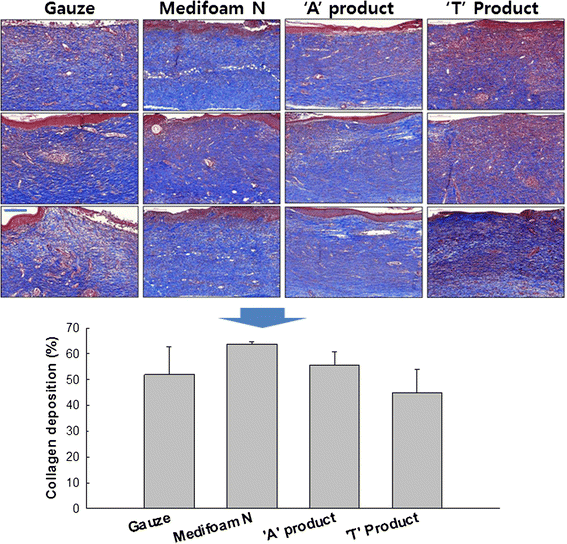 Fig. 8