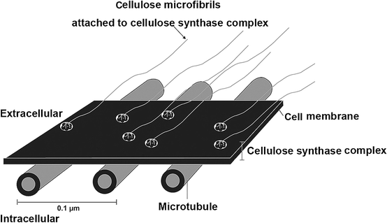 Fig. 10