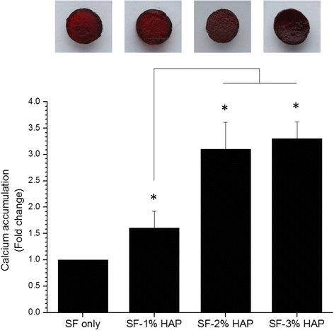 Fig. 10