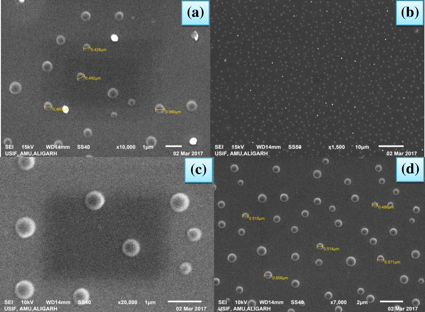 Fig. 6