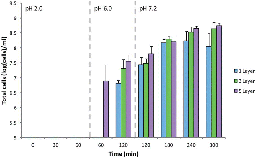 Fig. 17