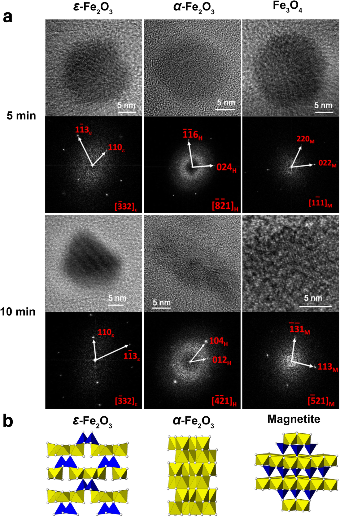 Fig. 3