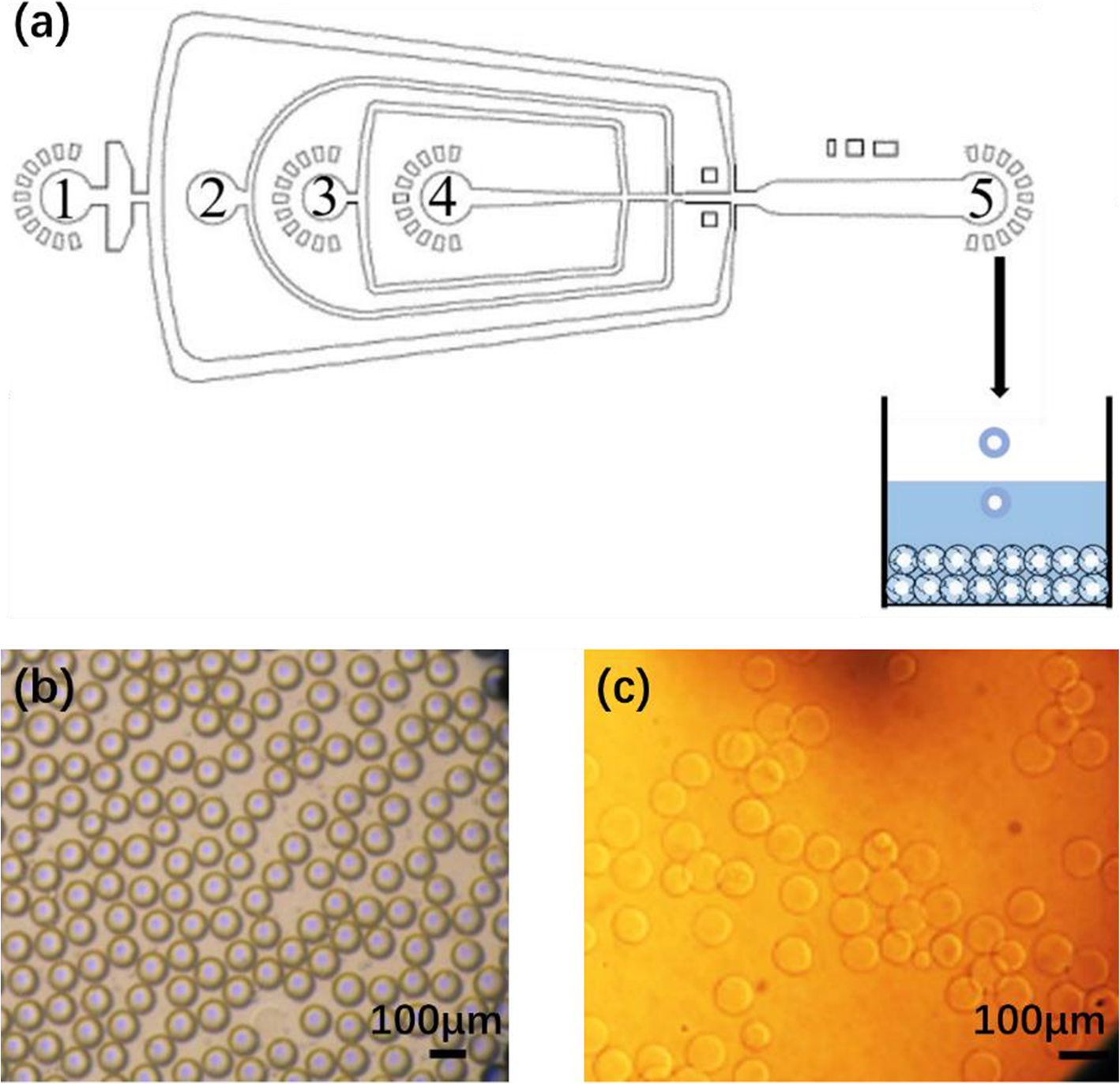 Fig. 13