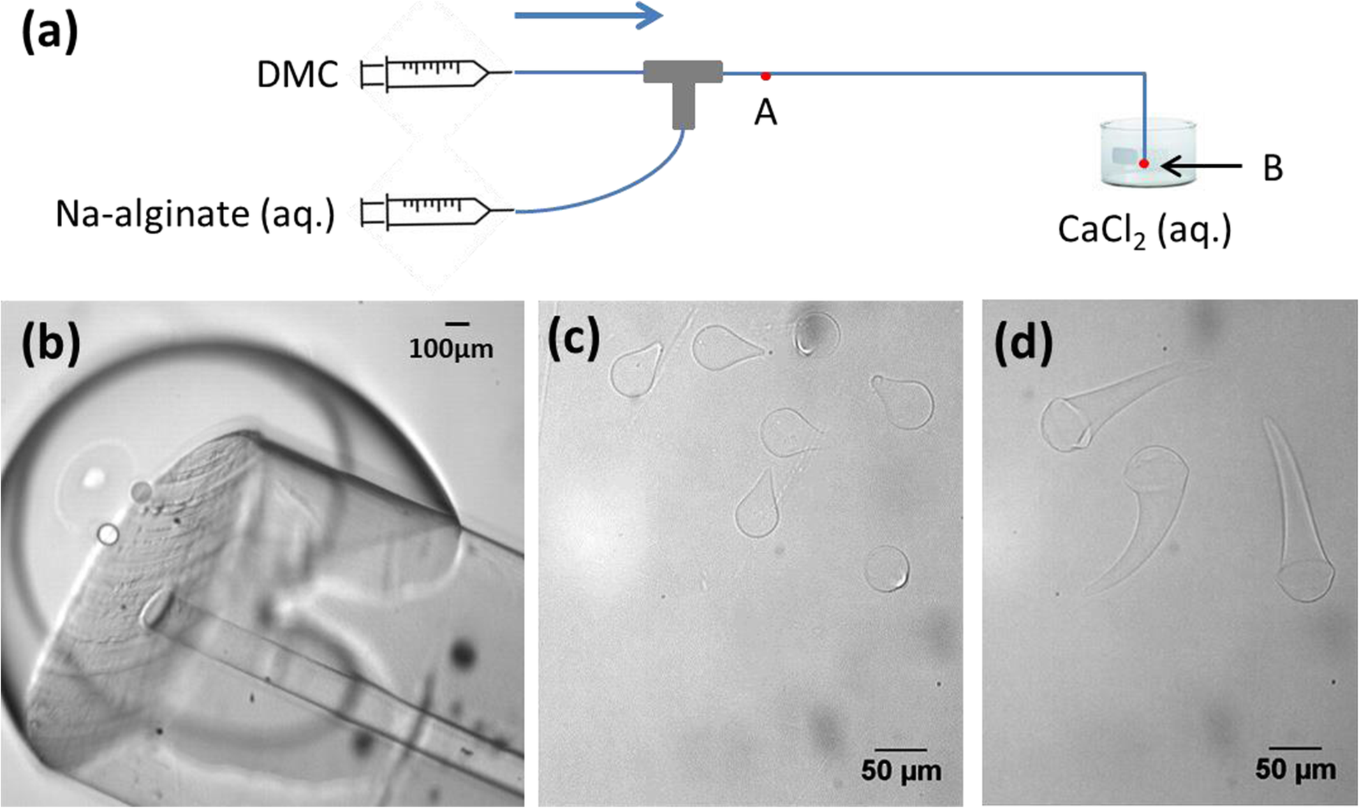 Fig. 19