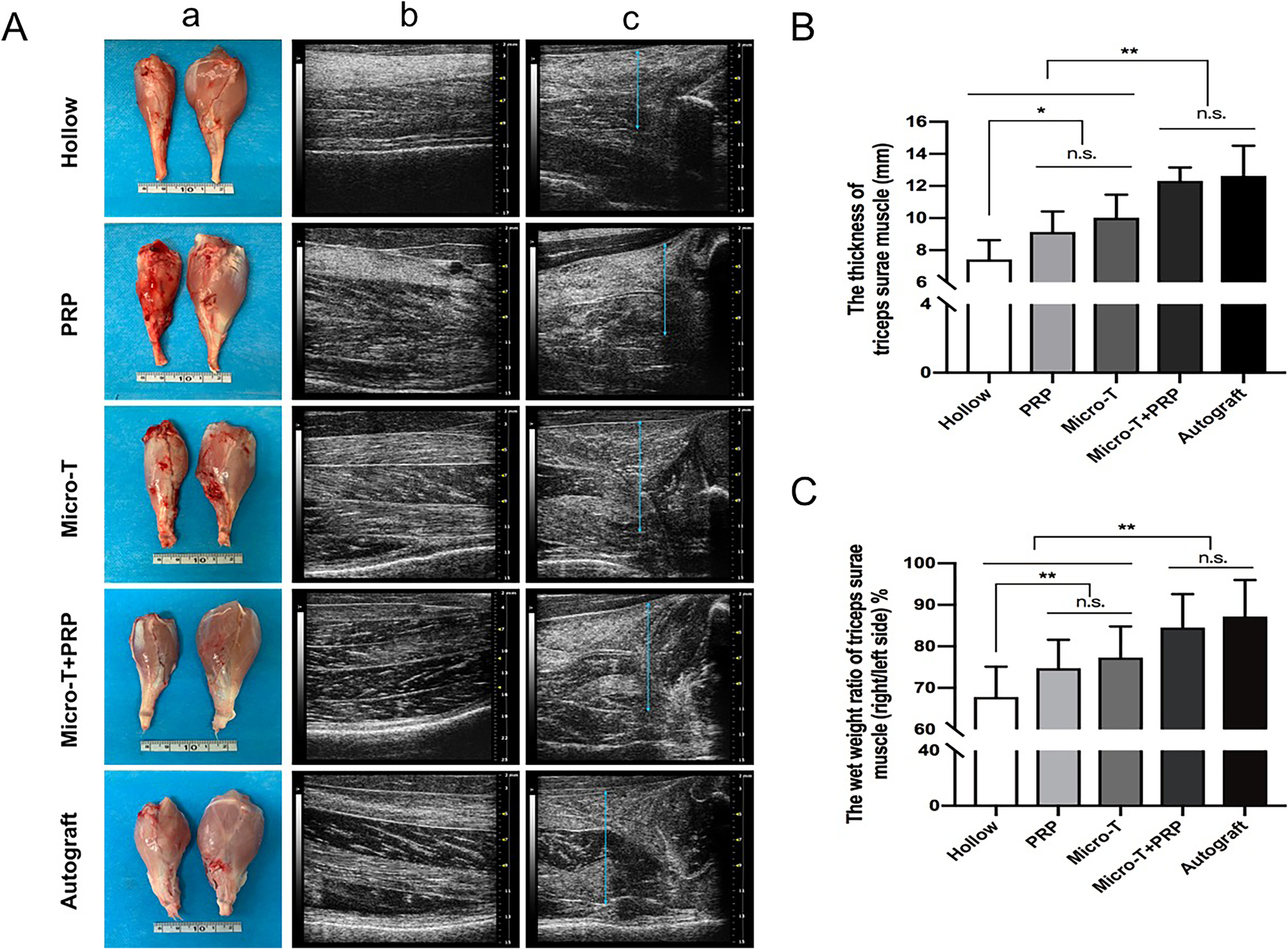 Fig. 14