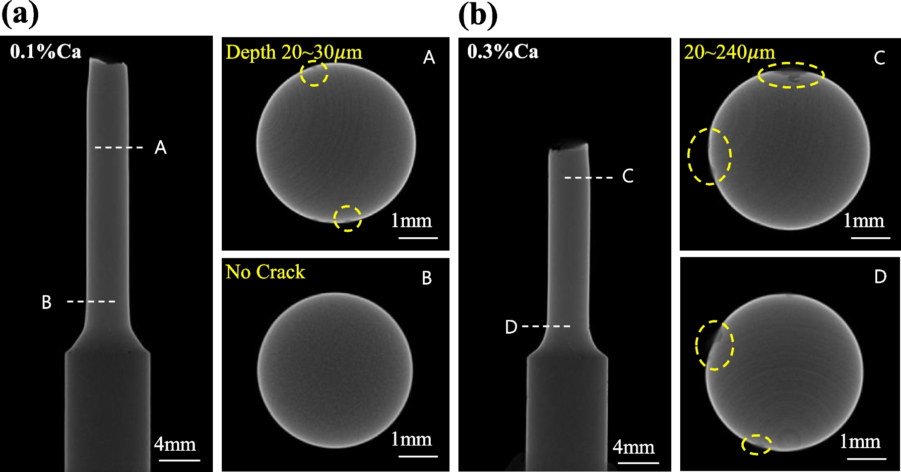 Fig. 10