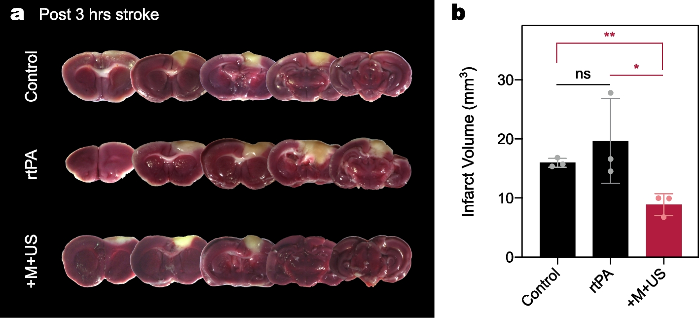 Fig. 8