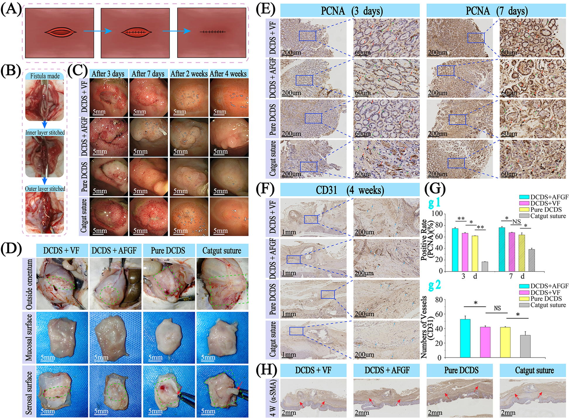 Fig. 7