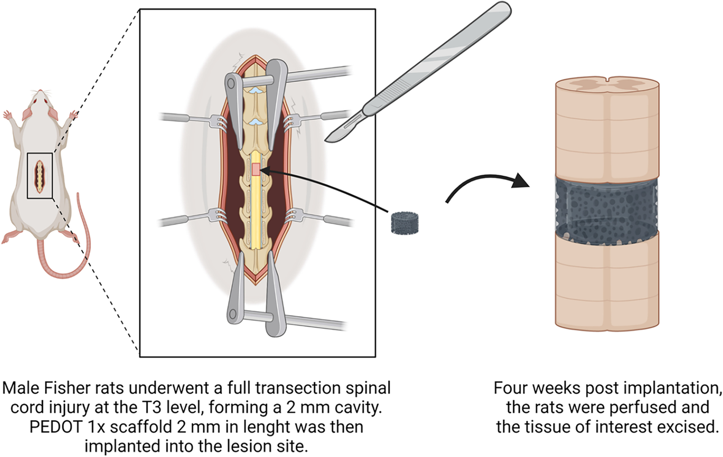 Fig. 9